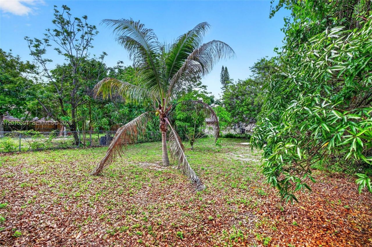 2437 NW 20th St, Fort Lauderdale, FL 33311 Photo