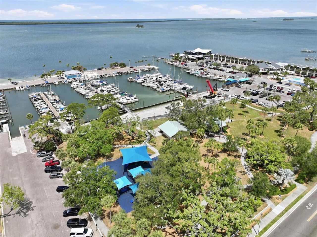 231 Lime Circle S, Dunedin, FL 34698 Photo