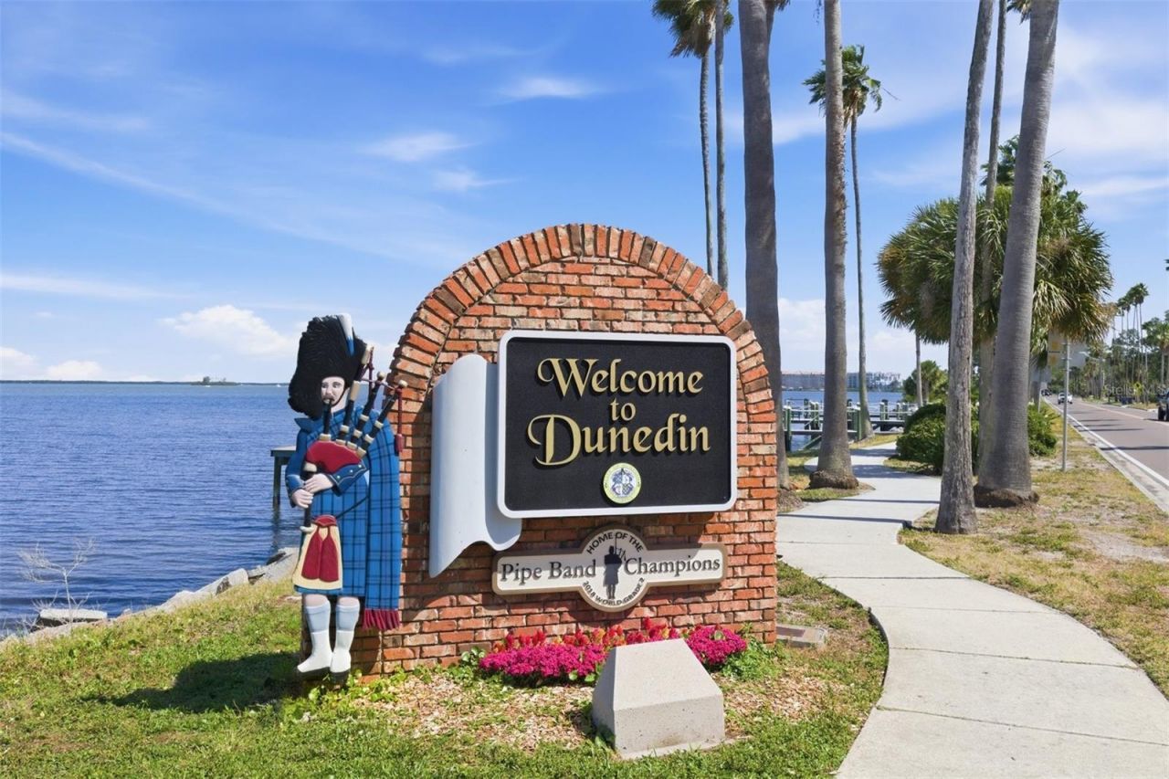 231 Lime Circle S, Dunedin, FL 34698 Photo