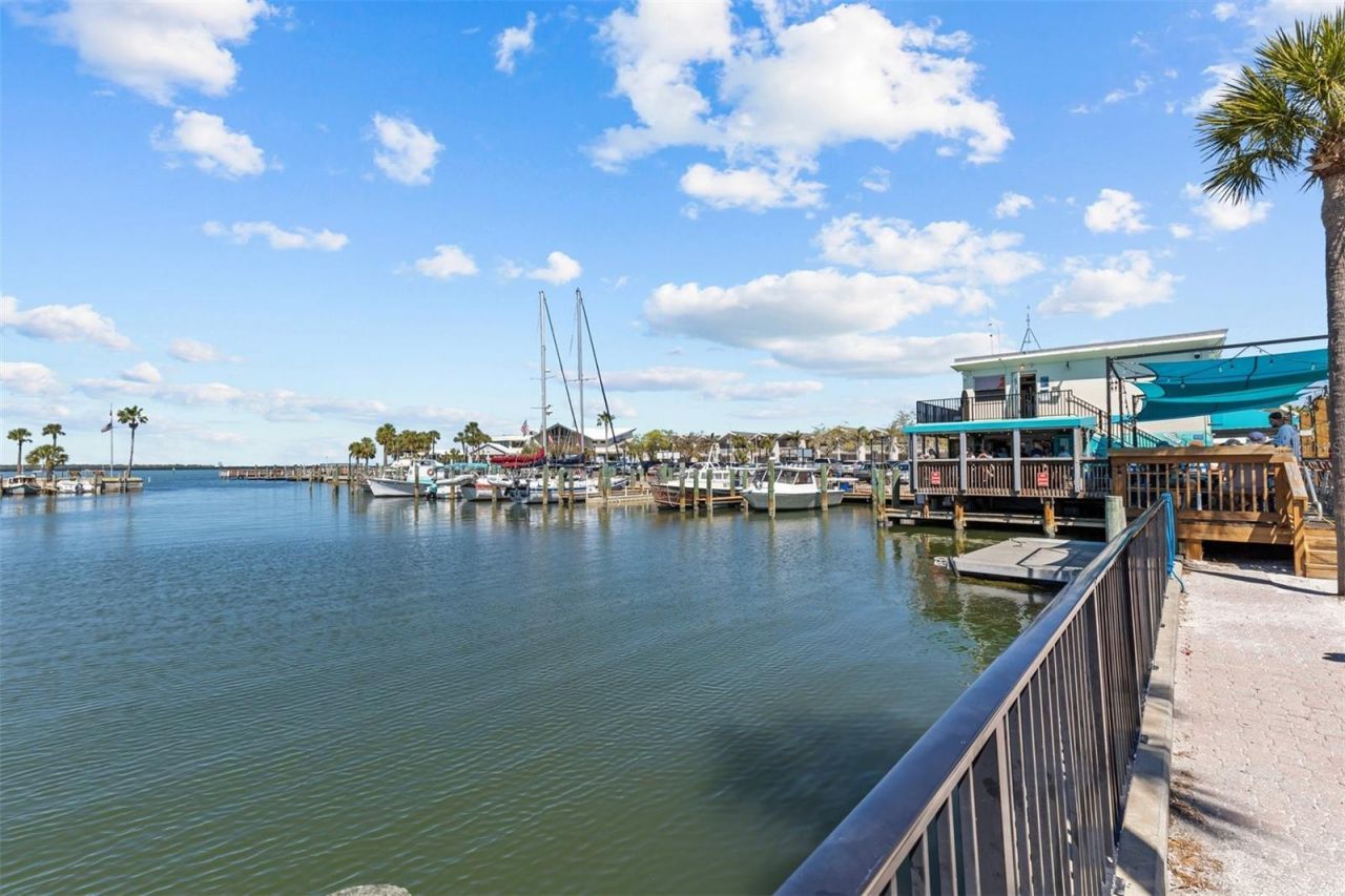 231 Lime Circle S, Dunedin, FL 34698 Photo