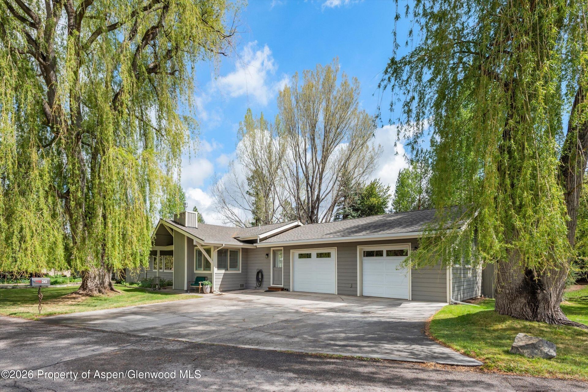 245 Stagecoach Drive, Carbondale, CO 81623 Main Photo