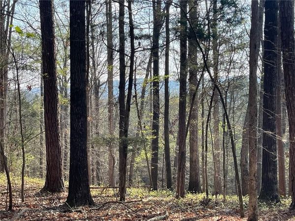 Lot 12 CHALCREST Way , Cave Spring, GA 30124