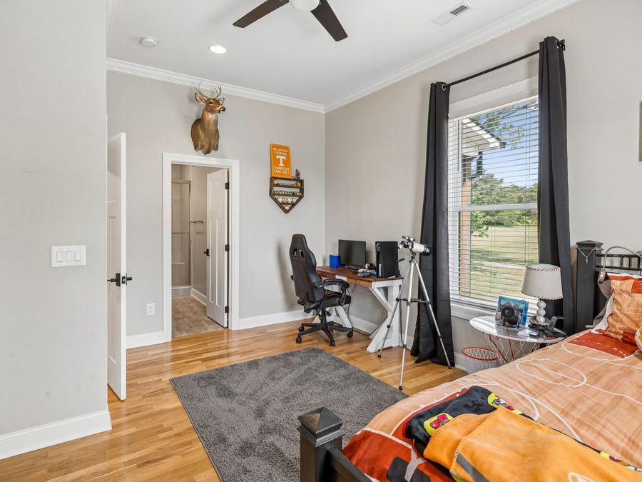 Property Image 37