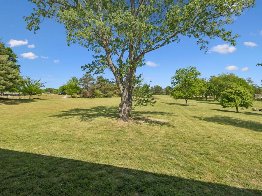 Property Image 55