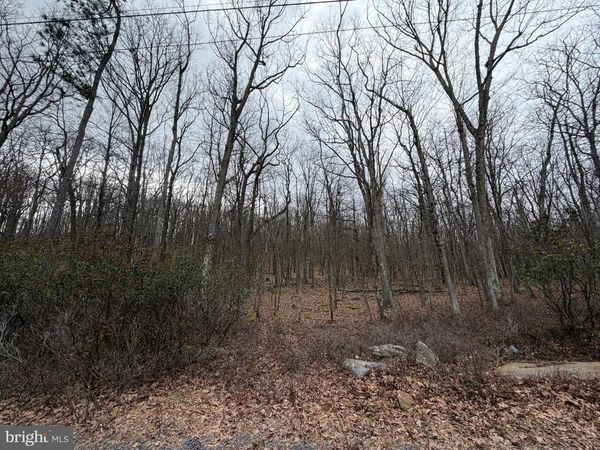 463 SPRING MOUNTAIN DR , ZION GROVE, PA 17985