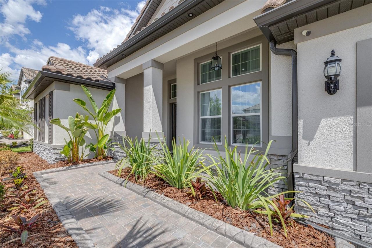 7190 Graybrook Drive, Wesley Chapel, FL 33545 Photo