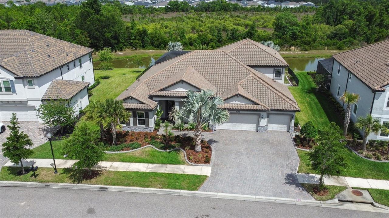 7190 Graybrook Drive, Wesley Chapel, FL 33545 Photo