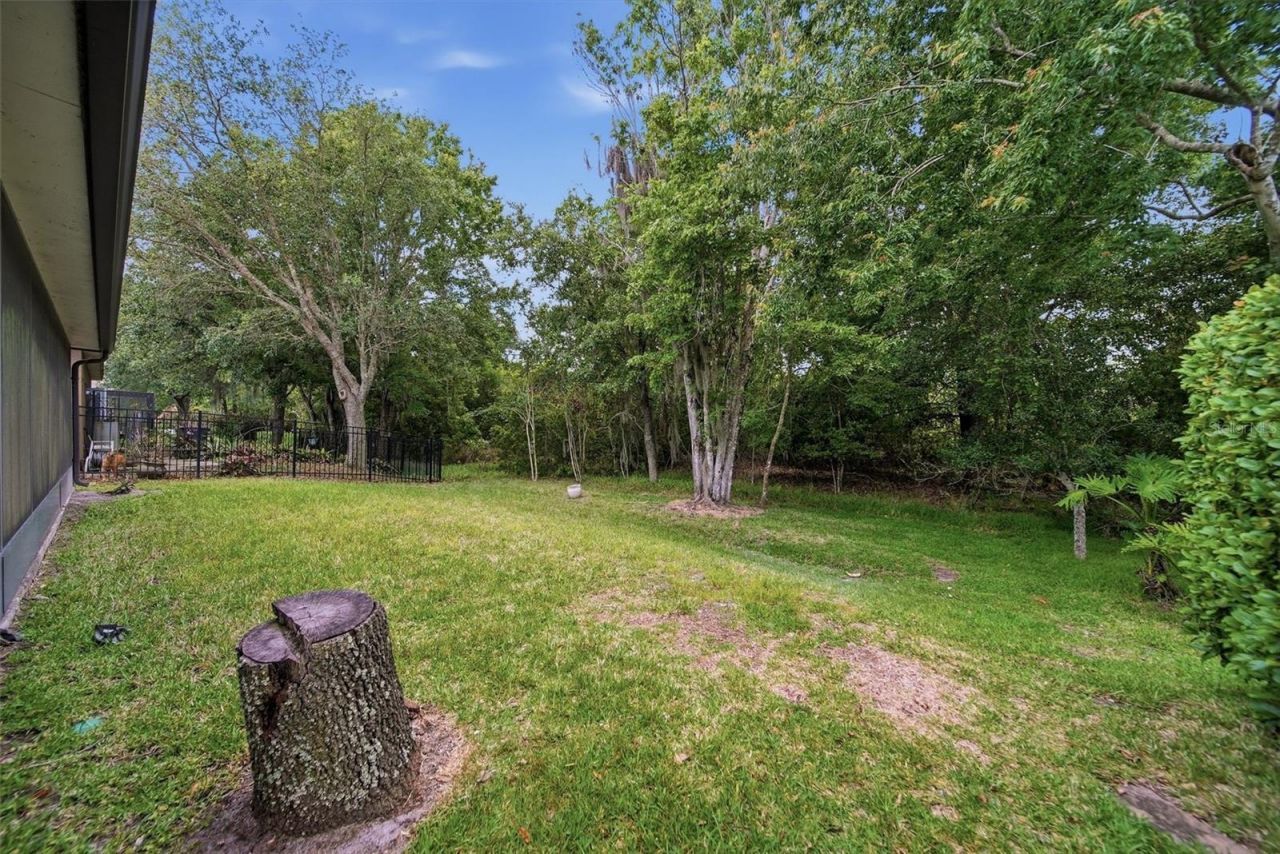 13425 Early Frost Circle, Orlando, FL 32828 Photo