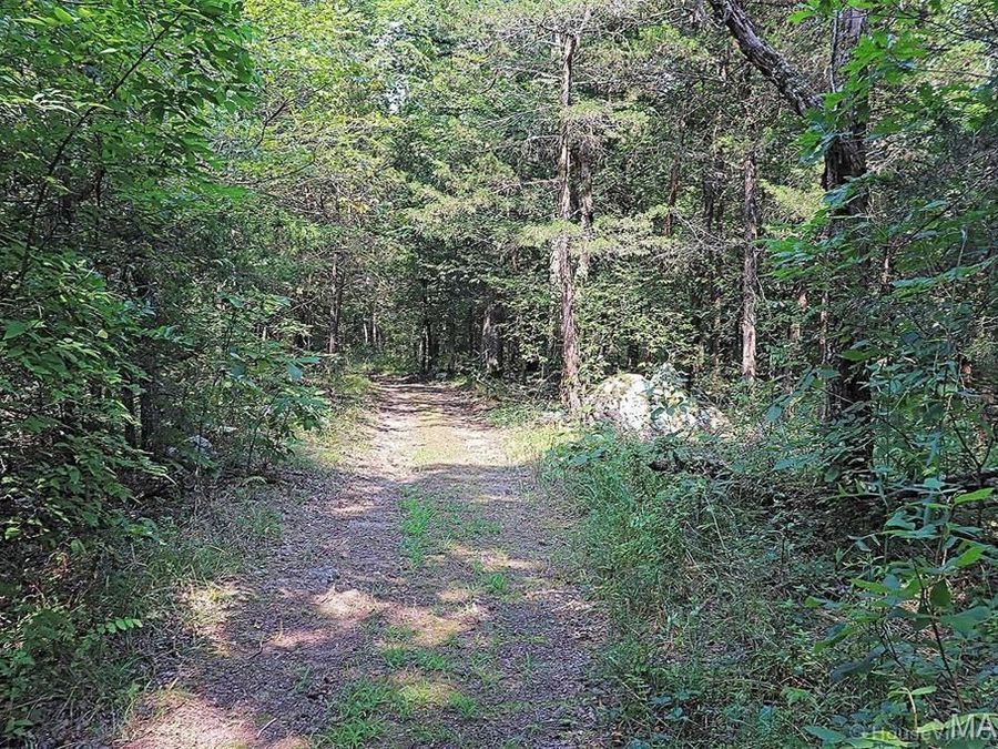 Property Image 83
