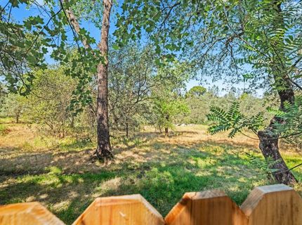 140 Morning Dove Ln, Folsom, CA 95630 Photo