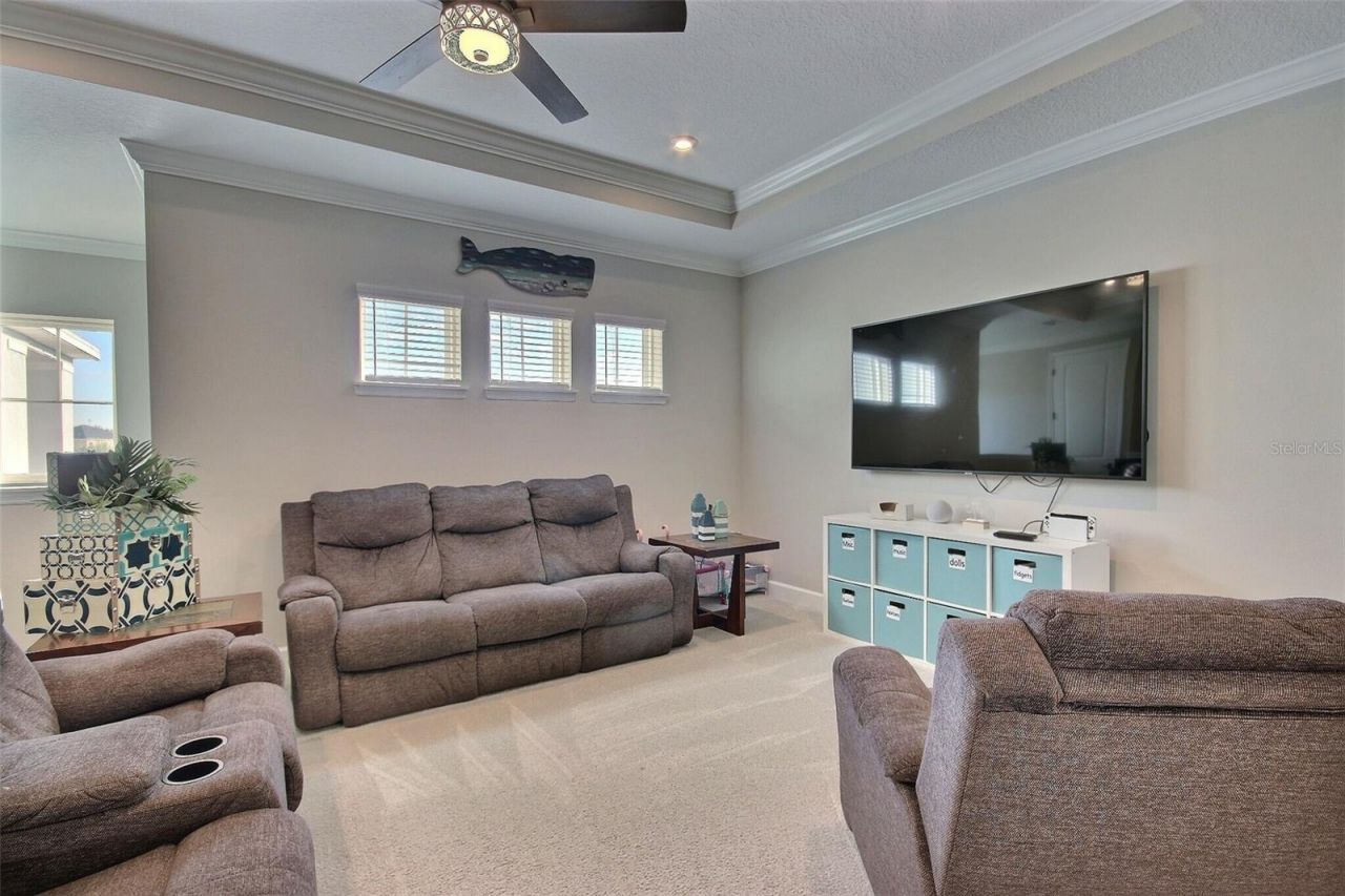 10563 Piedra Dr, Palmetto, FL 34221 Photo