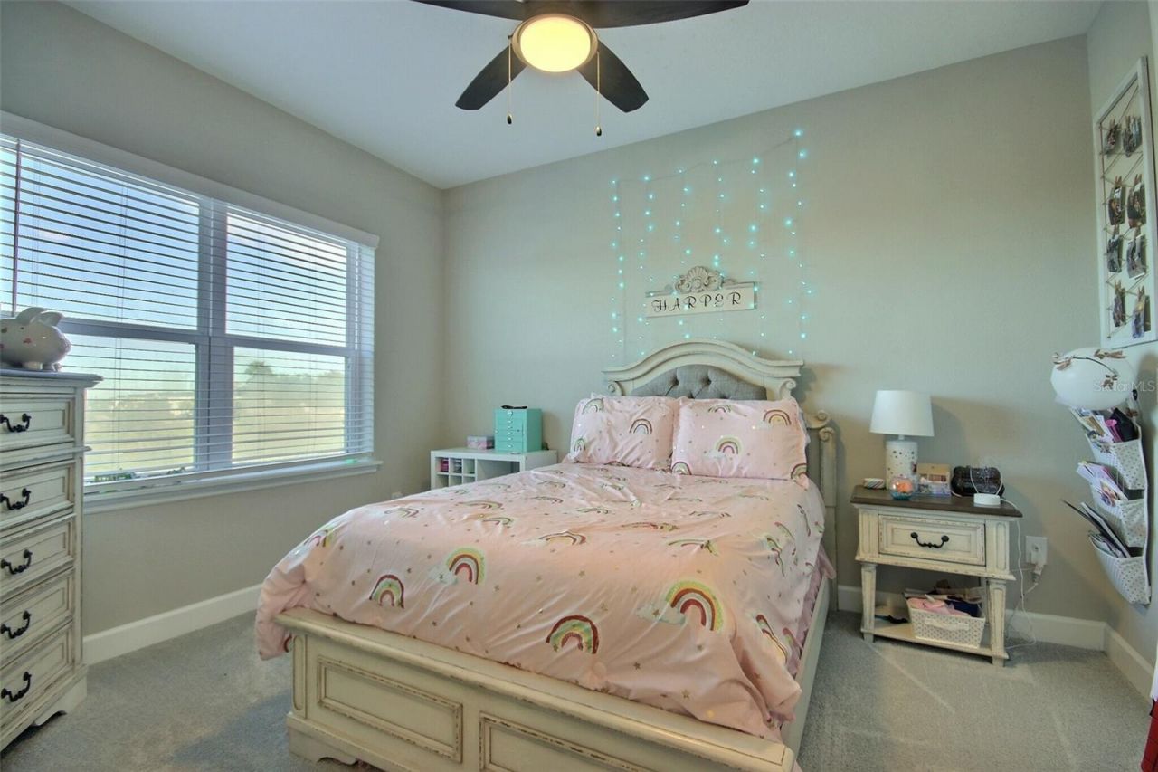 10563 Piedra Dr, Palmetto, FL 34221 Photo