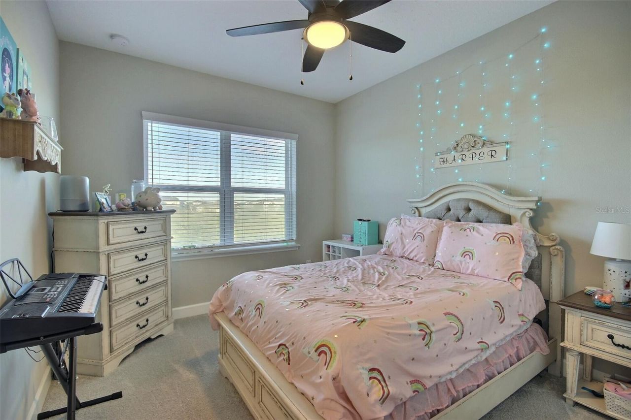 10563 Piedra Dr, Palmetto, FL 34221 Photo