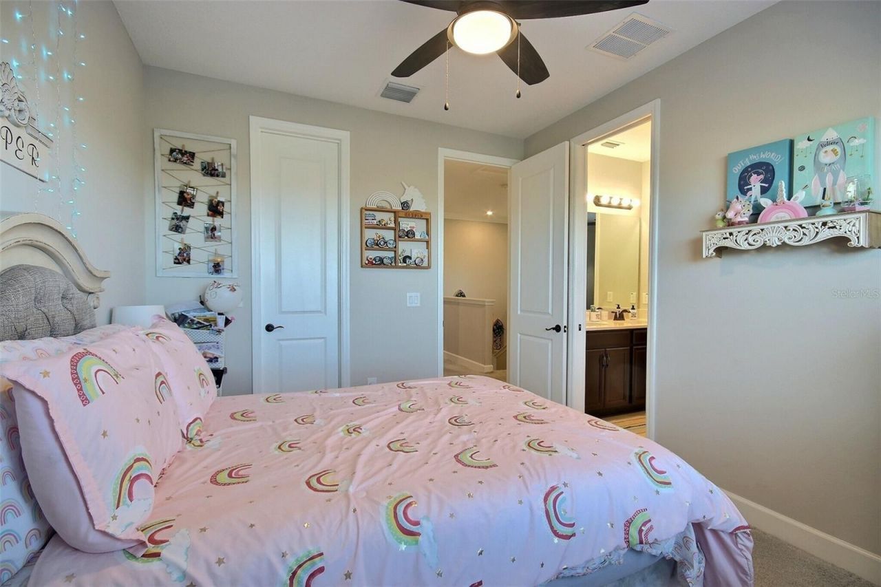 10563 Piedra Dr, Palmetto, FL 34221 Photo