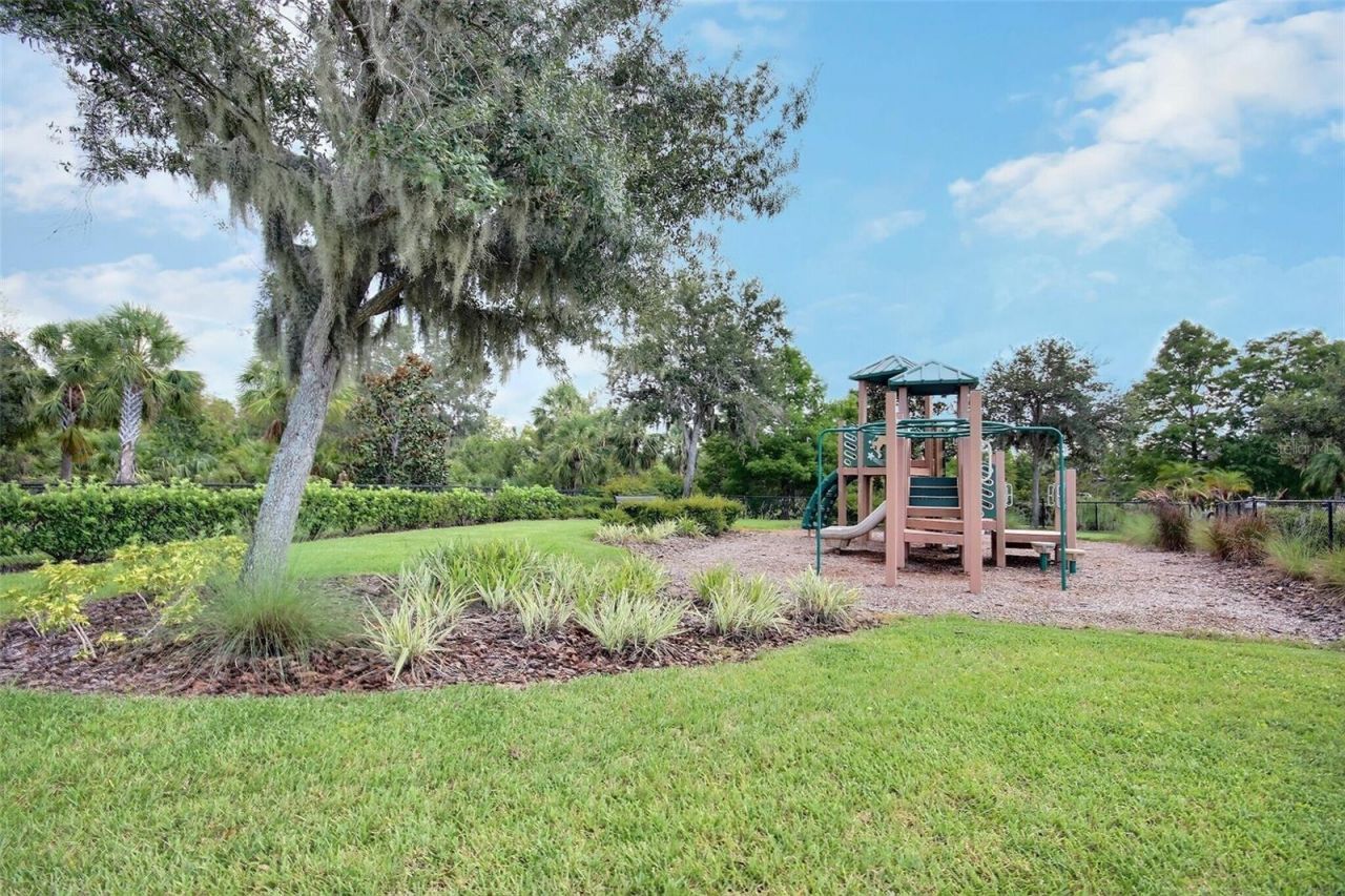 10563 Piedra Dr, Palmetto, FL 34221 Photo