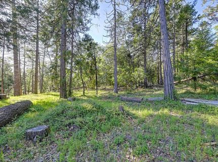 5415 Robert Rd, Pollock Pines, CA 95726 Photo