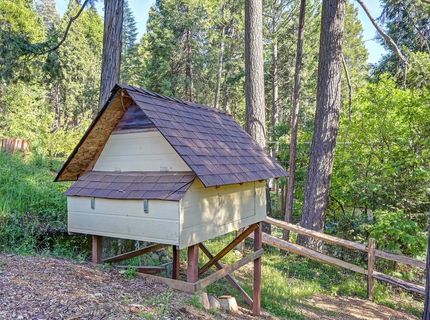 5415 Robert Rd, Pollock Pines, CA 95726 Photo