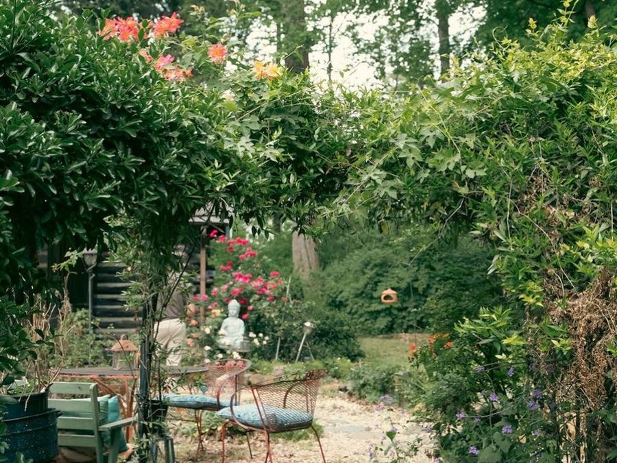 Property Image 46