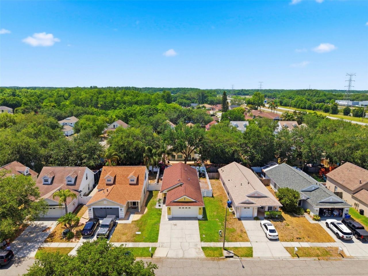 1825 Horsechestnut , Trinity, FL 34655 Photo