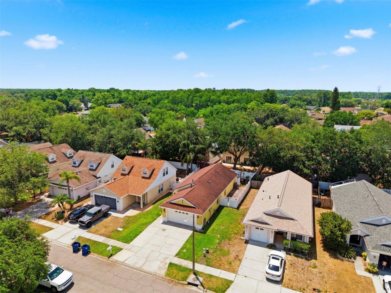 1825 Horsechestnut , Trinity, FL 34655 Photo