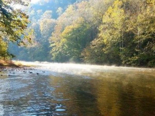 Crestwood Drive, Speedwell, TN 37870