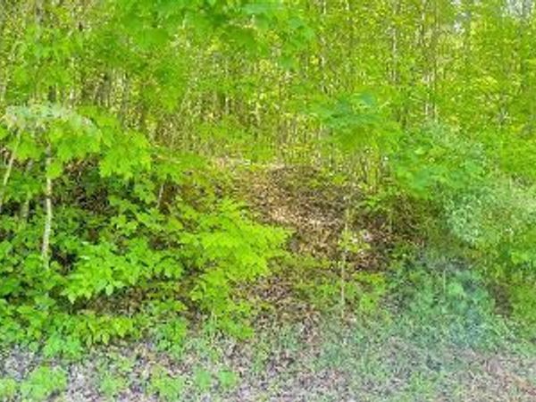 Crestwood Drive, Speedwell, TN 37870