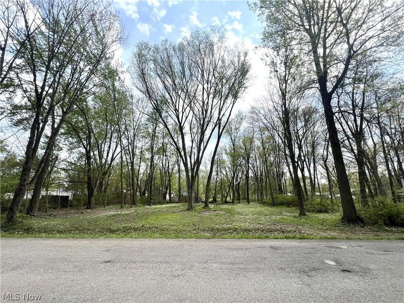 Afton Avenue, Lake Milton, OH 44429 Photo 1