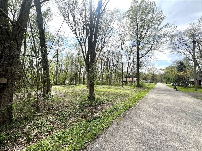 Afton Avenue, Lake Milton, OH 44429 Photo 2