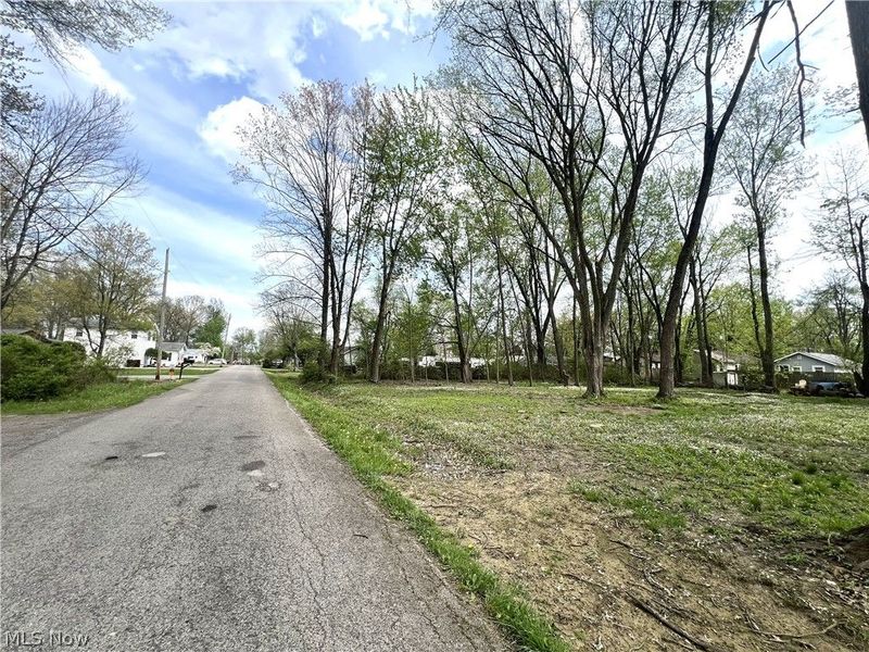 Afton Avenue, Lake Milton, OH 44429 Photo 3