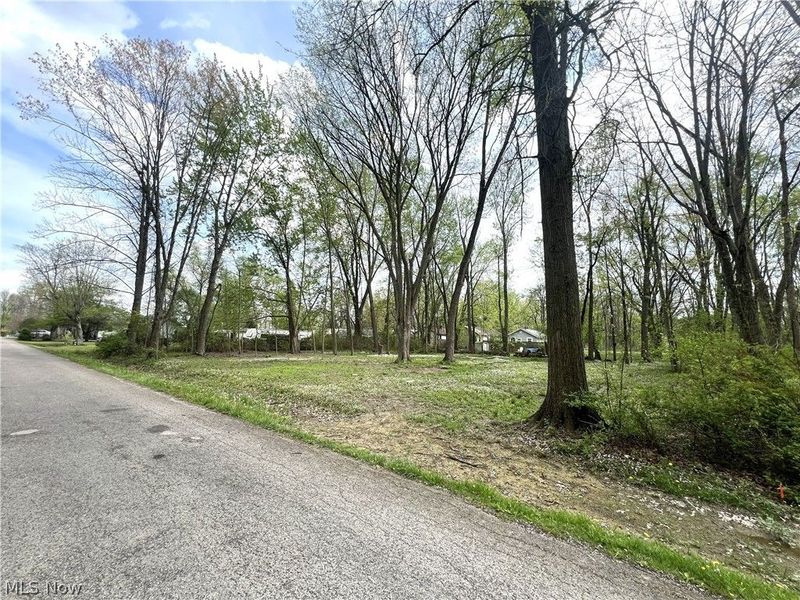Afton Avenue, Lake Milton, OH 44429 Photo 4