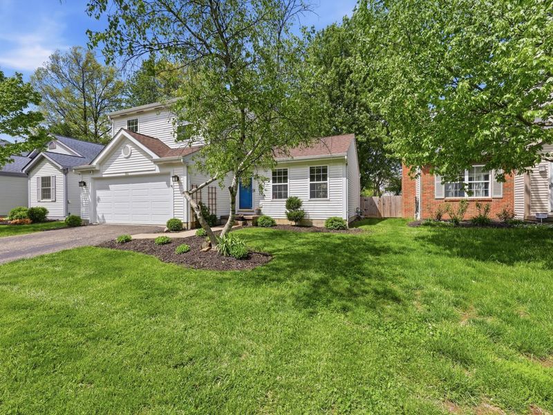 664 Arden Street, Lewis Center, OH 43035 Photo 5