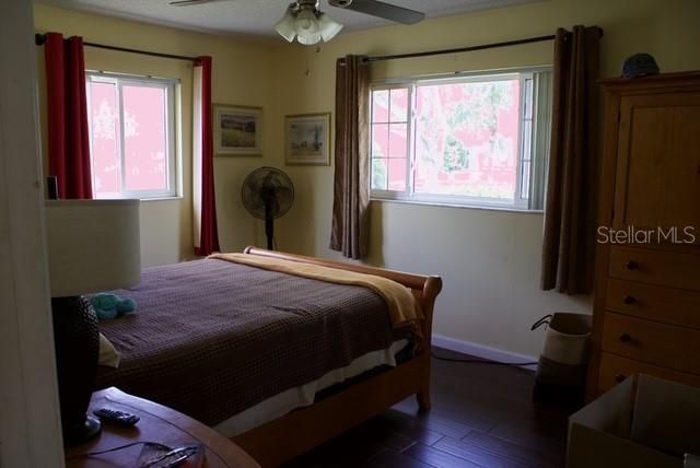4212 Gray Squirrel Lane, New Port Richey, FL 34653 Photo