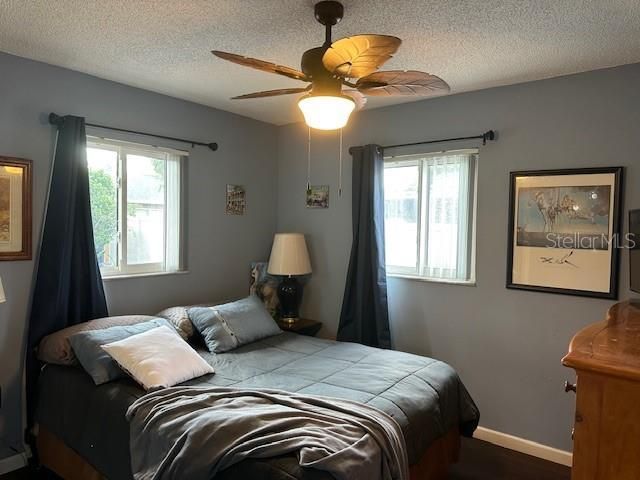 4212 Gray Squirrel Lane, New Port Richey, FL 34653 Photo
