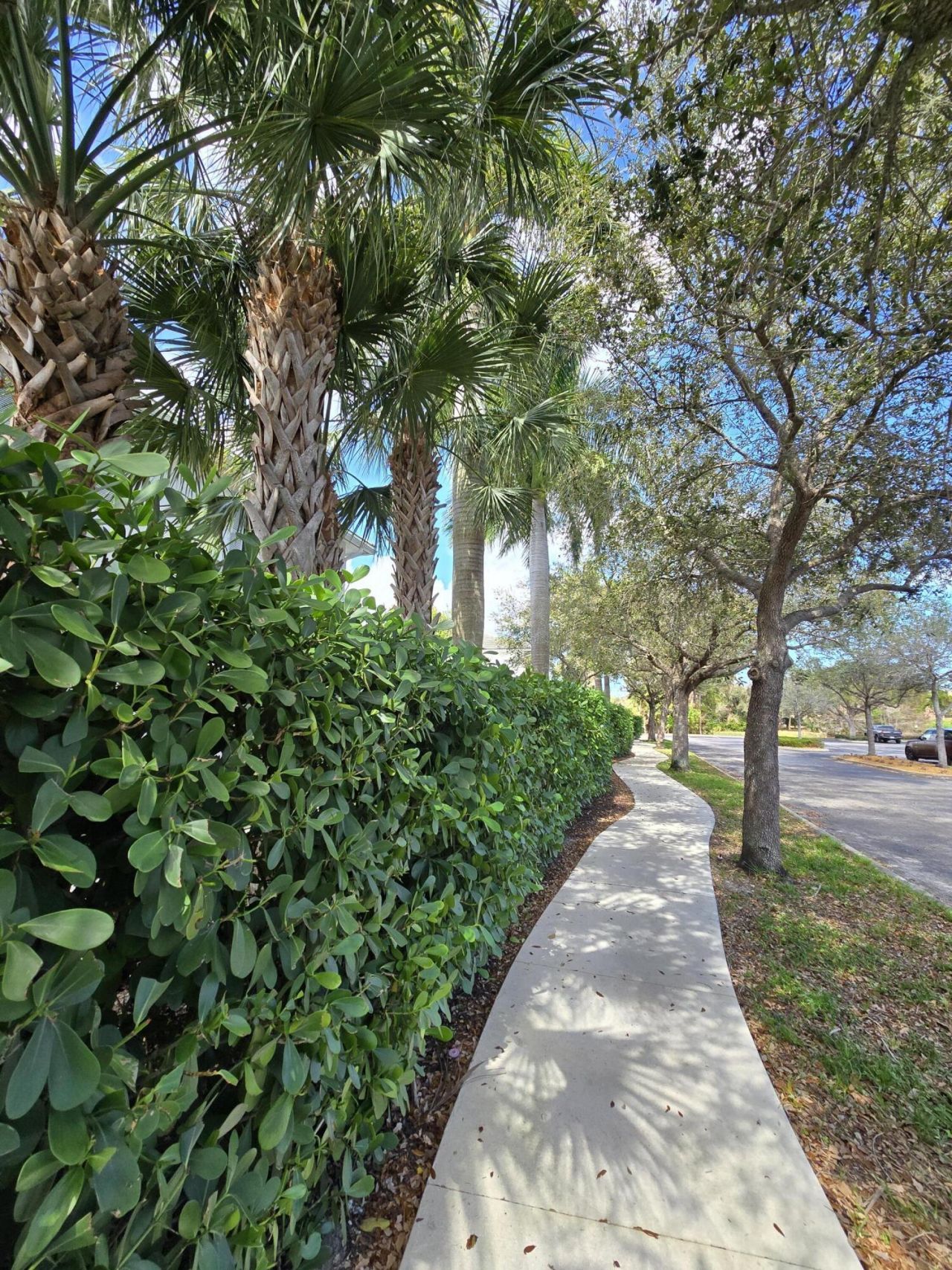 4920 Pointe Midtown Way, Palm Beach Gardens, FL 33418 Photo