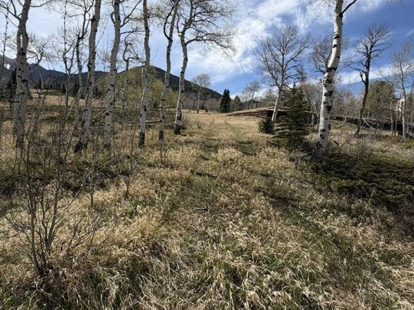 36 Baker Creek Ct, Cuchara, CO 81055