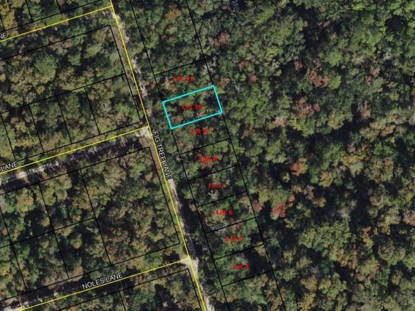 Lot 10 Fig Tree Lane , Crawfordville, FL 32327
