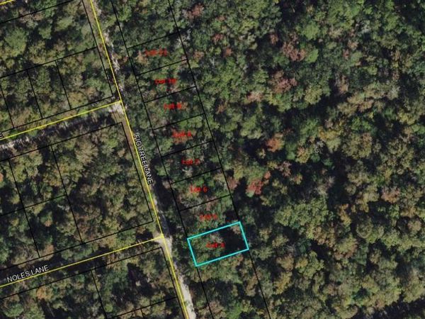Lot 4 Fig Tree Lane , Crawfordville, FL 32327