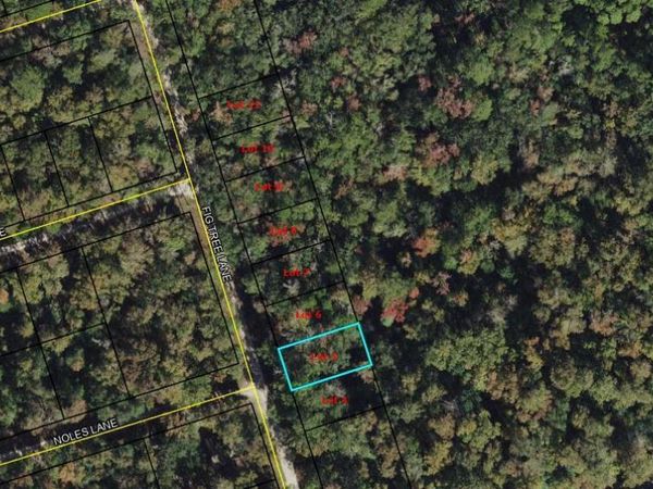 Lot 5 Fig Tree Lane , Crawfordville, FL 32327
