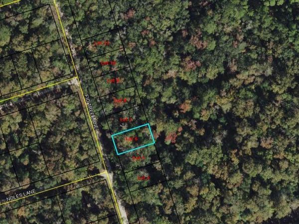 lot 6 Fig Tree Lane , Crawfordville, FL 32327