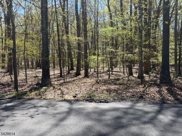 61 Quenby Mountain Rd, Liberty, NJ 07838