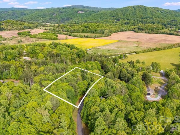 0000 Newcastle Road , Brevard, NC 28712