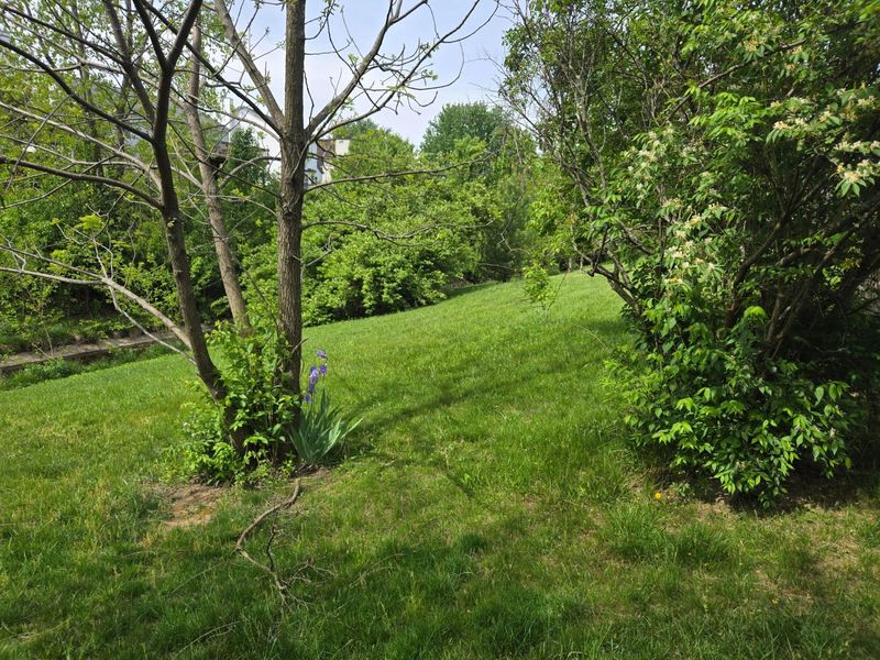 5697 Silver Spurs Lane , Galloway, OH 43119 Photo 16