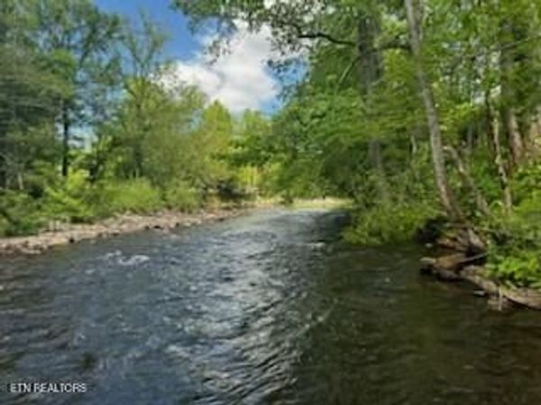 Riverview Rd, Townsend, TN 37882