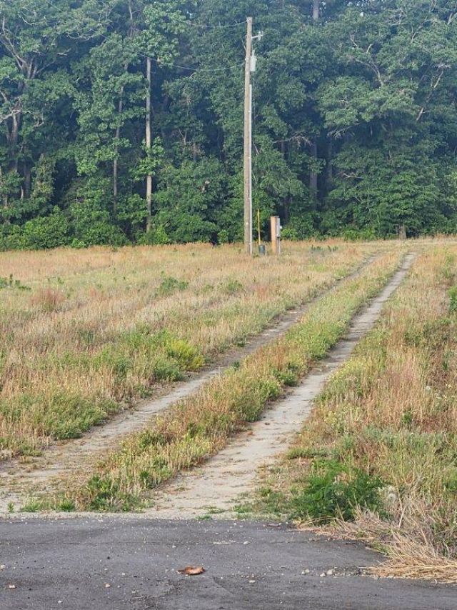 000 Broxton Bridge Road Photo 12