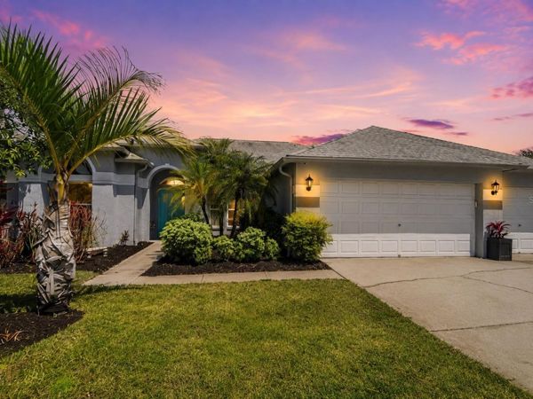 19717 WYNDHAM LAKES DRIVE, ODESSA, FL 33556