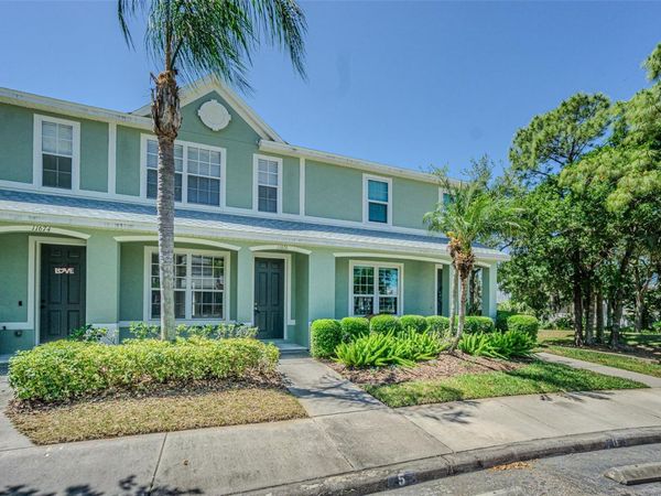 11676 DECLARATION DRIVE , TAMPA, FL 33635