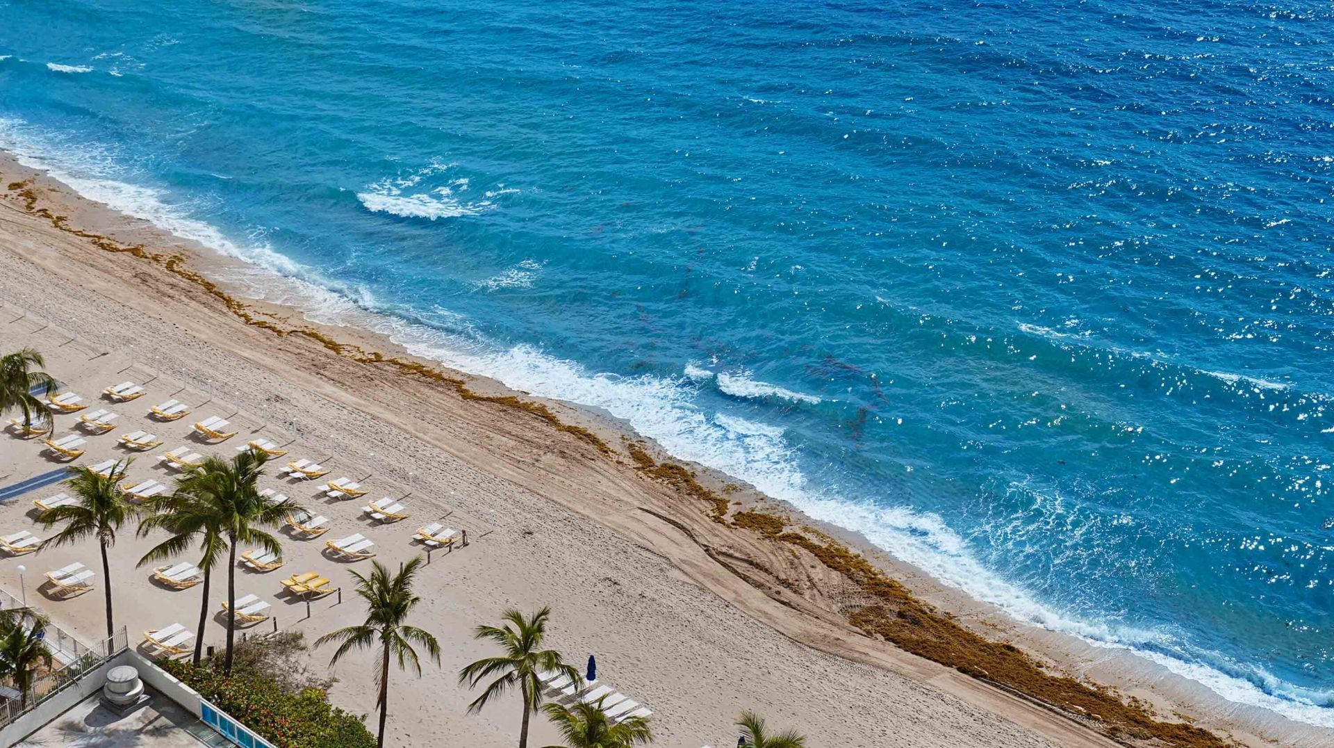 3900 Galt Ocean Drive, Unit 1916, Fort Lauderdale, FL 33308 Photo
