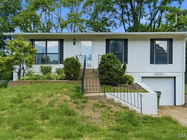 10607 Saint Michaels Terrace Court, St Ann, MO 63074