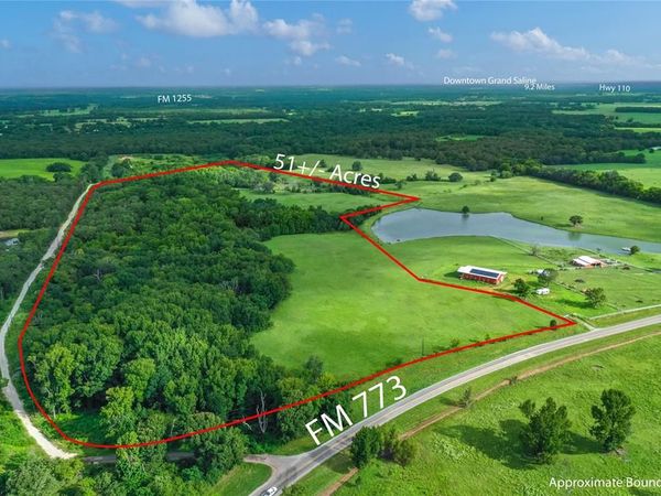 51.00 (+/-) Acres Fm 773 , Grand Saline, TX 75140