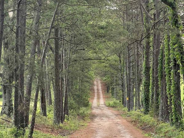 Bonnerdale, AR 71933